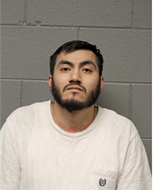 AXEL ROMO, Cook County, Illinois