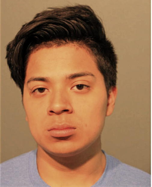 OSCAR A ROSALES, Cook County, Illinois