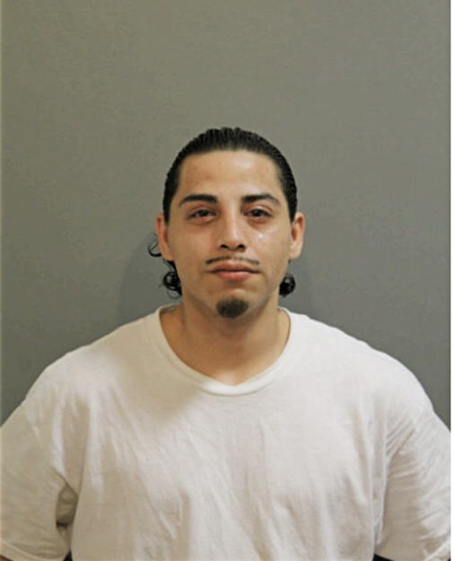 SIMON B RUIZ, Cook County, Illinois