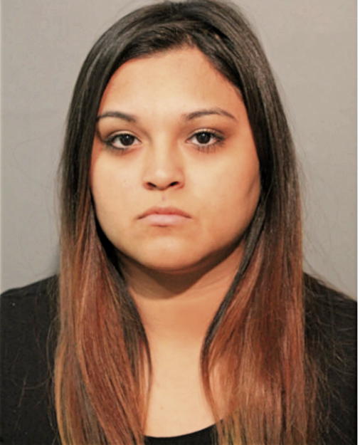 NATALIE S SANTIAGO, Cook County, Illinois