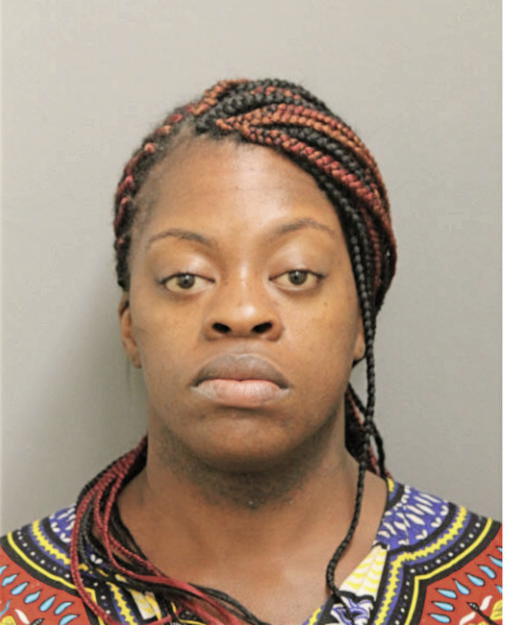 SARAH N THOMPSON, Cook County, Illinois