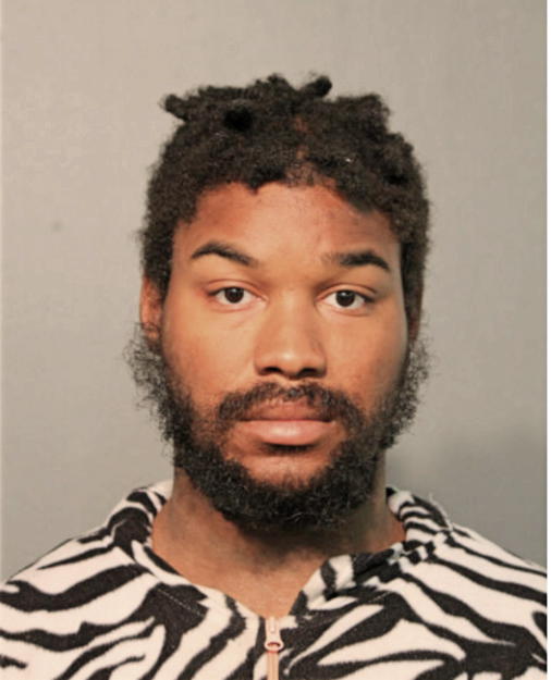 DAMEON M TRAYLOR, Cook County, Illinois