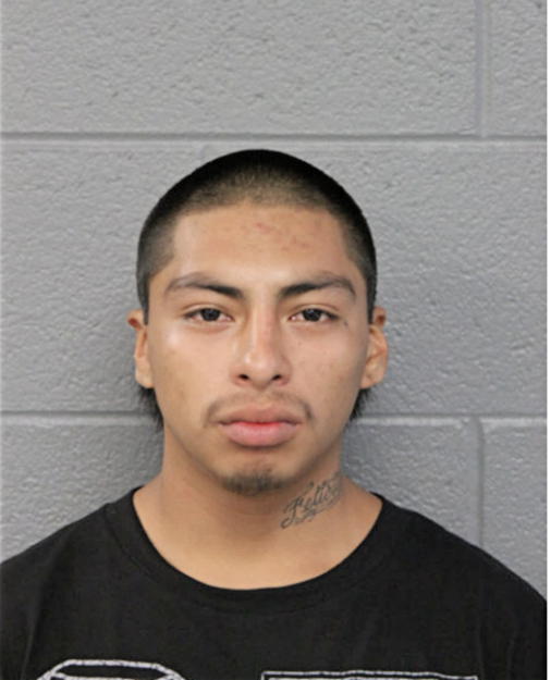 JOSUE VERGARA, Cook County, Illinois