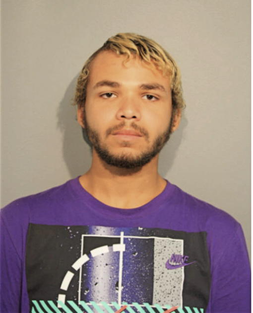 COLLIN C AVERY, Cook County, Illinois