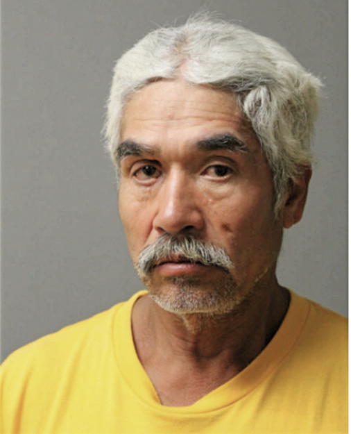 HERMELINDO AVILES, Cook County, Illinois