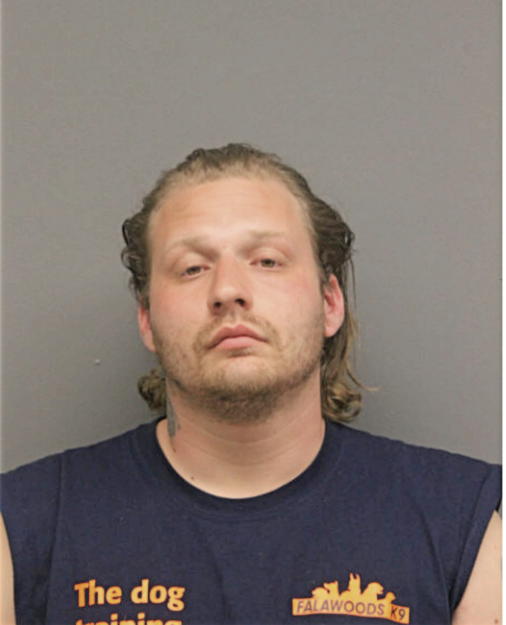 BENJAMIN J BARTLESTEIN, Cook County, Illinois