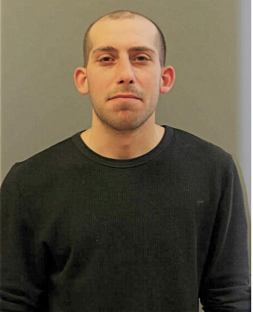 STEVEN C DELFINO, Cook County, Illinois