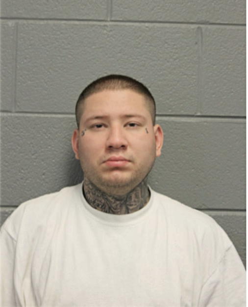 JOSE T DOMINGUEZ, Cook County, Illinois