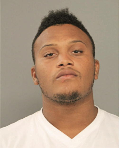 ANDRE D DONNER, Cook County, Illinois