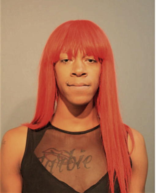 KENNETH L FLORD, Cook County, Illinois