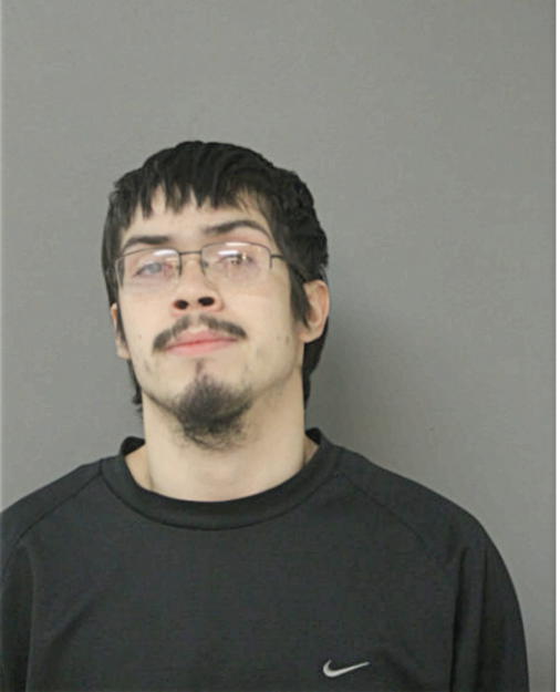 ALEXANDER A GONZALEZ, Cook County, Illinois