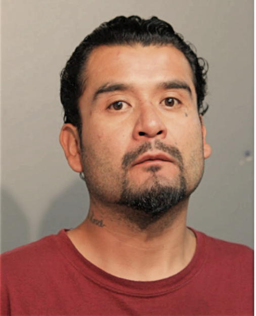 ARMANDO GONZALEZ, Cook County, Illinois