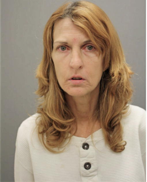 DIANA M HARRIS-PAGOIS, Cook County, Illinois