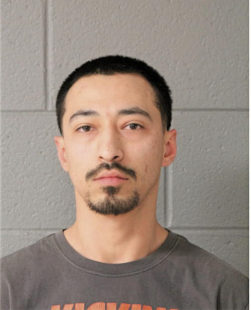 FERNANDO HERRERA, Cook County, Illinois