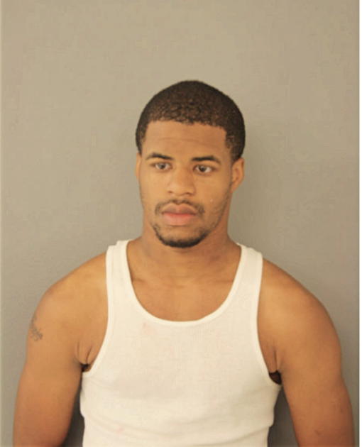 WARREN L JOHNSON, Cook County, Illinois