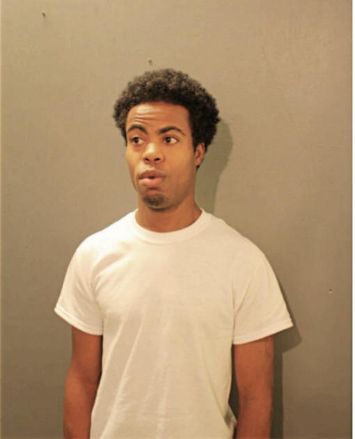 ROBERT S JORDAN, Cook County, Illinois