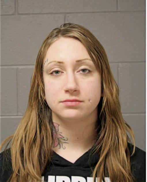 ALEKSANDRA LAZIC, Cook County, Illinois