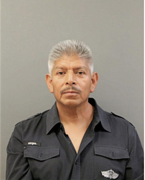 ARMANDO Q MEDINA, Cook County, Illinois