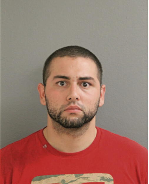 JUAN A PAGAN, Cook County, Illinois