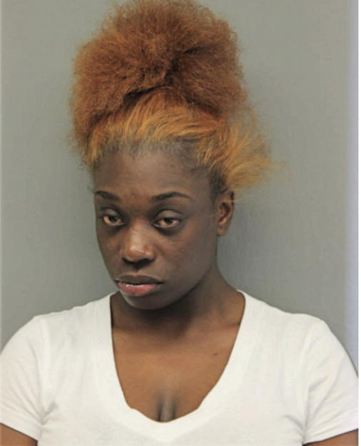 TERRIANNA L R KING, Cook County, Illinois