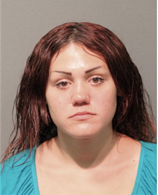 CARINA E RIVERA, Cook County, Illinois