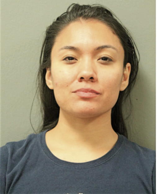 BRISEIDA ROSAS, Cook County, Illinois