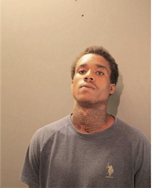 BRYAN L SMITH, Cook County, Illinois