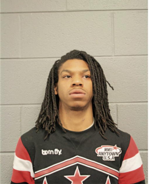 AARON J SNEED, Cook County, Illinois
