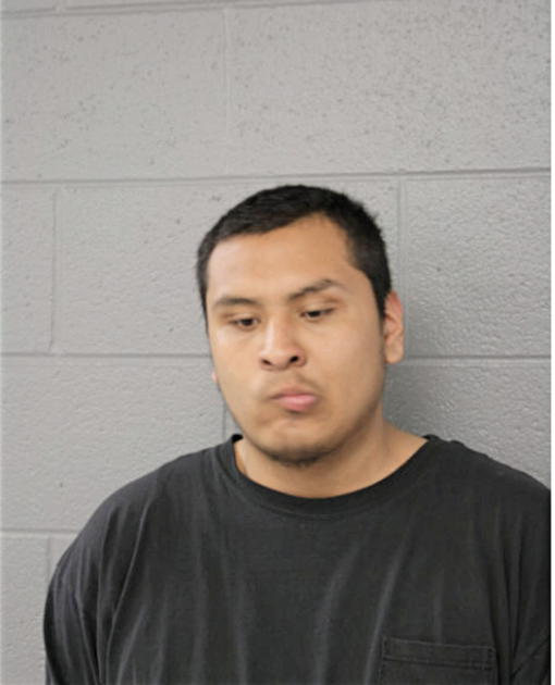 ALLAN K TORRES, Cook County, Illinois