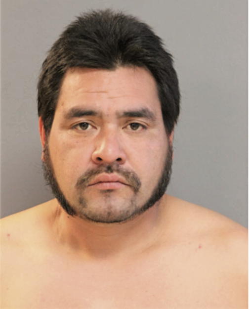 GUADALUPE URENA, Cook County, Illinois