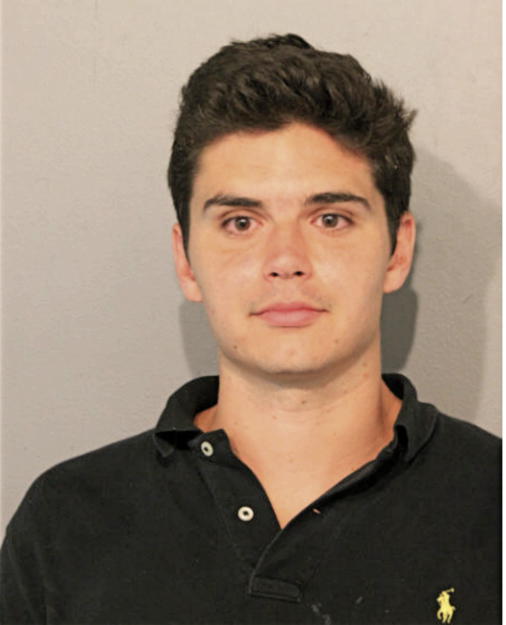 DOMINIC J VACCHIANO, Cook County, Illinois