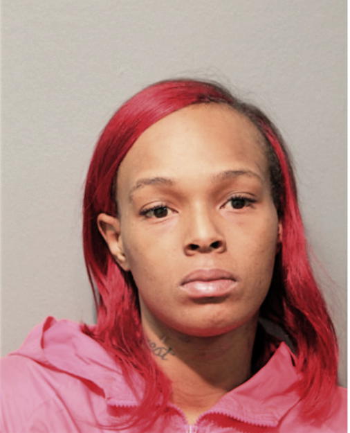 NINA L WILLIAMS, Cook County, Illinois