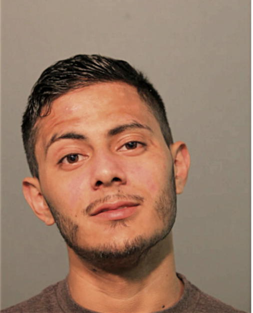 LUIS M ALVAREZ, Cook County, Illinois