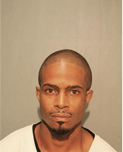 WILLIAM H ANDERSON, Cook County, Illinois