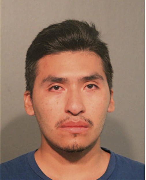 DAVID ARROYO, Cook County, Illinois