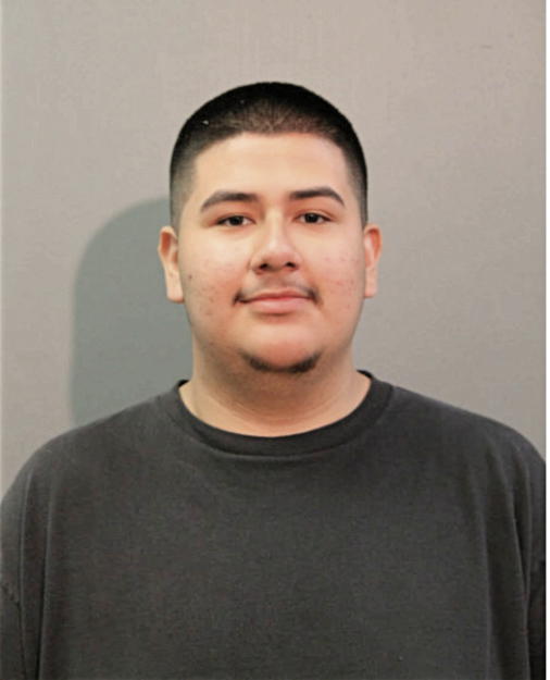GIOVANNY BAEZ, Cook County, Illinois