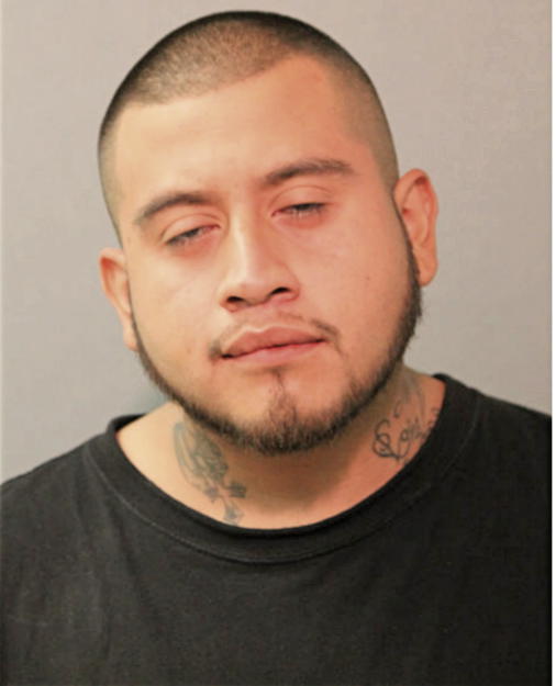 FELIPE BAUTISTA, Cook County, Illinois