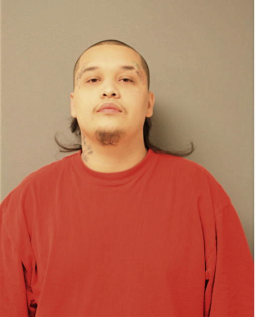 DAVID O BURCIAGA, Cook County, Illinois