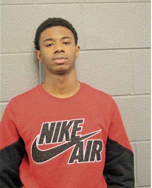 ANTHONY D BURNS, Cook County, Illinois