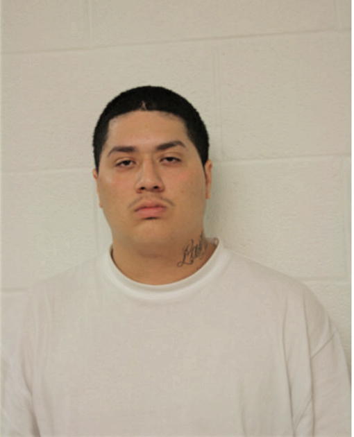 JOSE CASTILLO, Cook County, Illinois