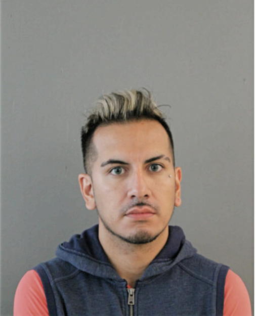 VICTOR A CASTRO, Cook County, Illinois