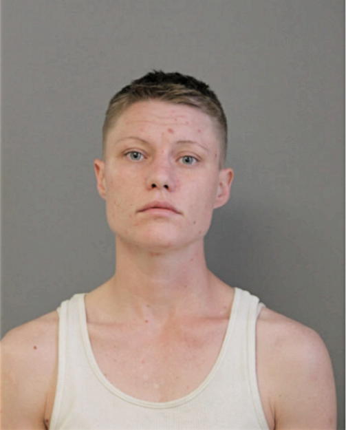 LINDSEY E DONAGHY, Cook County, Illinois