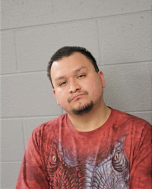 MANUEL FLORES, Cook County, Illinois