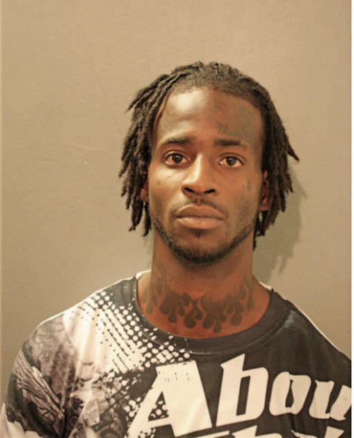 BRANDON L JOHNSON, Cook County, Illinois