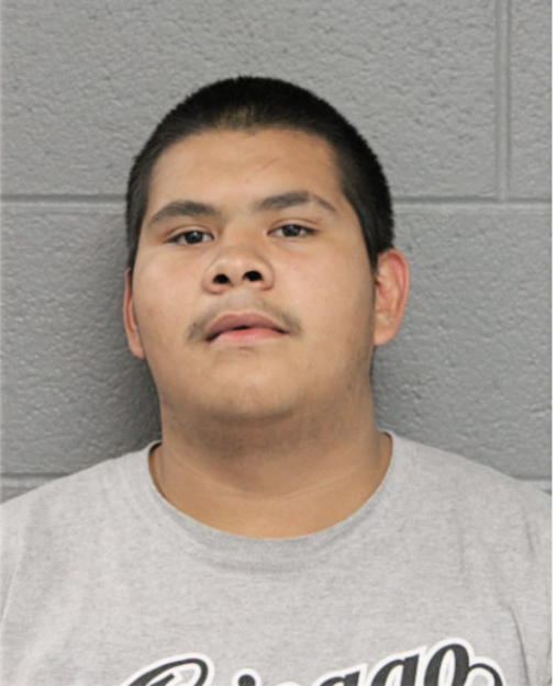 BONILLA M JOSE, Cook County, Illinois