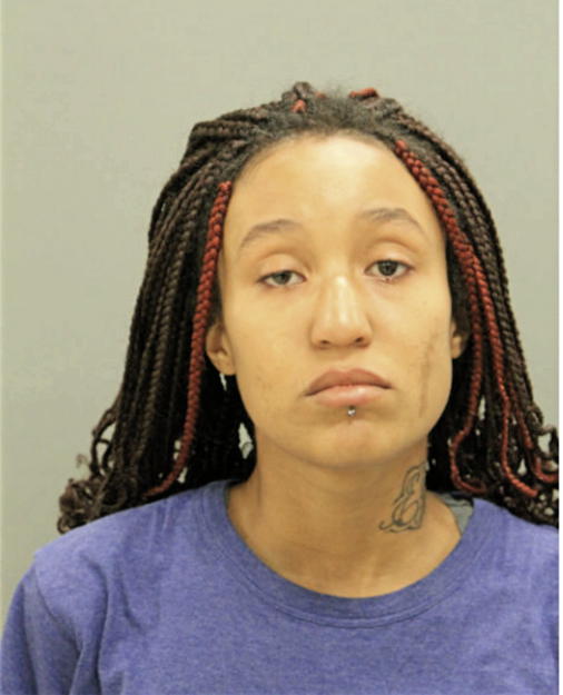 SHEILA J LOWERY, Cook County, Illinois