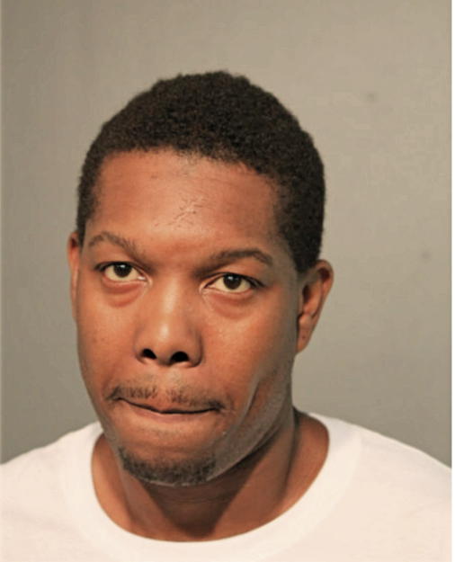 STEVEN J LYLES, Cook County, Illinois
