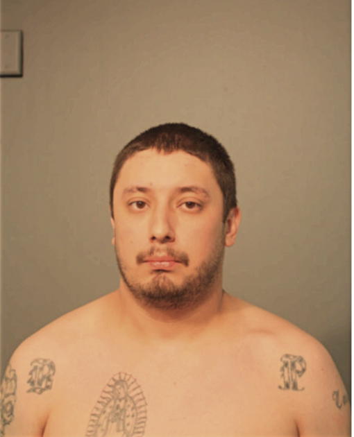 JUAN G ROMAN, Cook County, Illinois