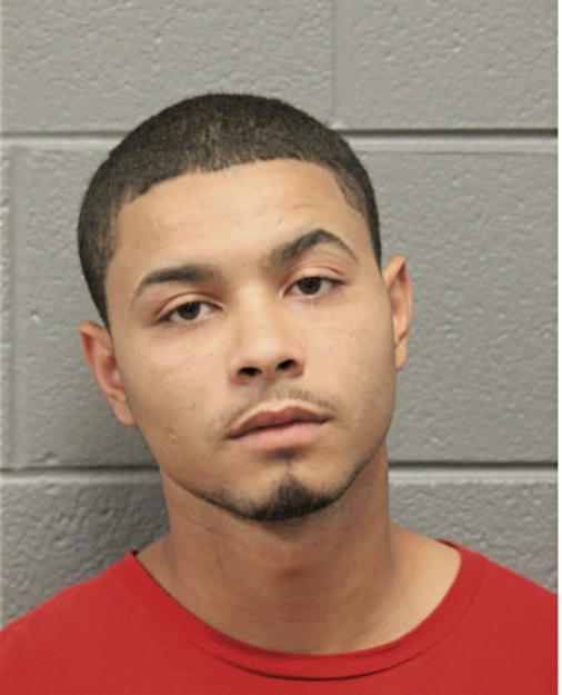 HECTOR L TORRES, Cook County, Illinois
