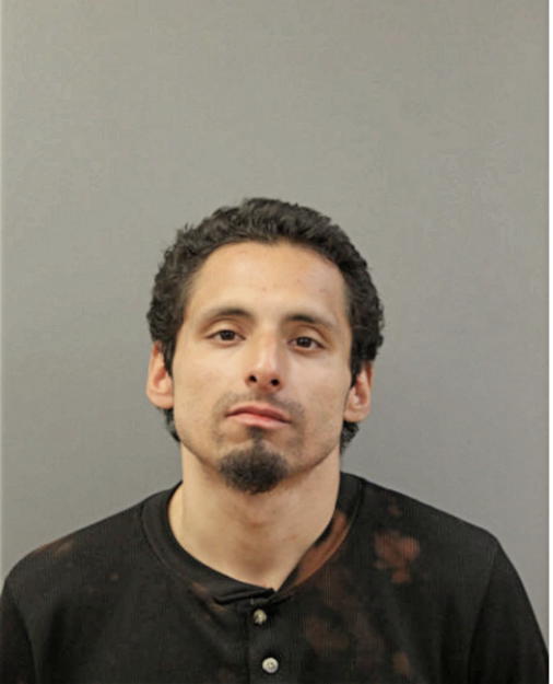 FRANCISCO J VEGA, Cook County, Illinois